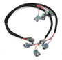 HLY558-201 Injector Wiring Harness V8 EV6 Style Injectors