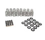 BTRBTR-SK018 Beehive Valve Spring Kit .625