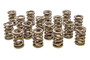 PACPAC-1903-16 Valve Springs - HR Series (16)