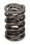 PACPAC-1940 Valve Spring - HR Series (1)