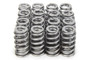 PACPAC-1217X-16 RPM Series Valve Springs - Beehive (16)