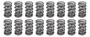 PACPAC-1330-16 1.500 Dual Valve Springs (16)