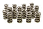 PACPAC-1385-16 1.564 Dual Valve Springs (16)