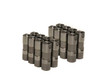BTRX12499225-16 Delphi LS7 Lifters - (16)