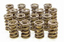 ISK9988-RAD 1.570 Valve Springs 