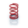EIB0500.225.0900 Spring 5in Coil-Over 2.25in ID