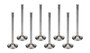 FERF1150P-8 SBC 1.625 C/P Exhaust Valves 5/16 5.010 OAL