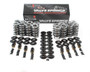 BTRSK001/S/0545/BB Platinum LS Dual Springs .660in Lift