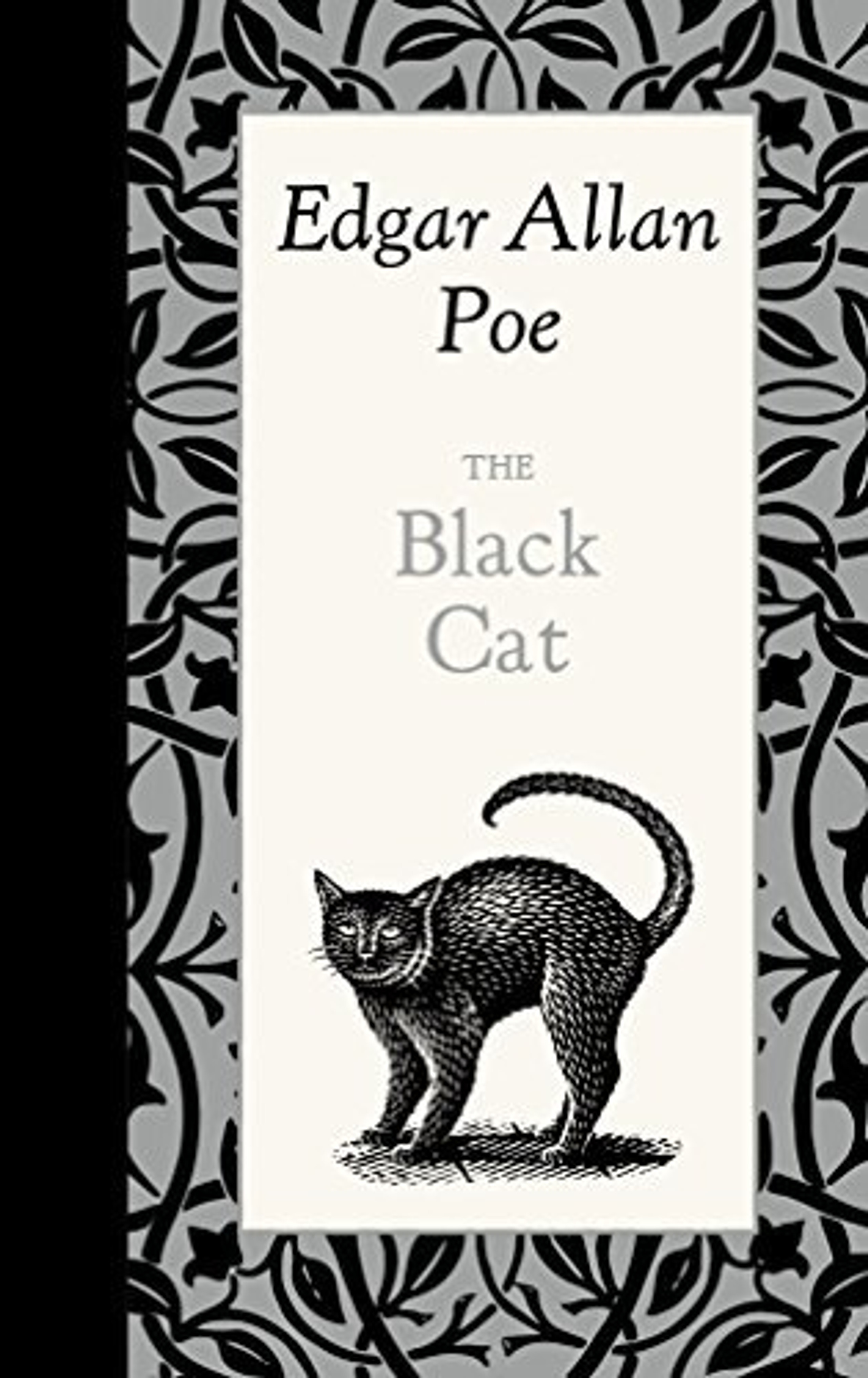 the black cat edgar allan poe short story