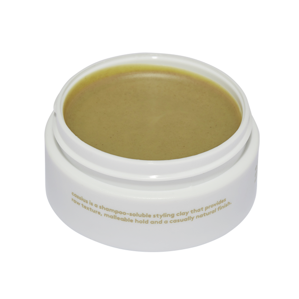 Evo Cassius Styling Clay 90g Evo Official Stockist BeautyWorks