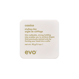 Evo Cassius Styling Clay 90g