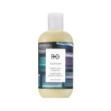 R+Co TELEVISION Perfect Hair Shampoo 251ml