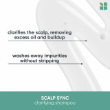 Biolage SCALP SYNC Clarifying Shampoo 400ml