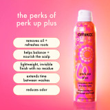 Amika Perk Up Plus Extended Clean Dry Shampoo 358ml