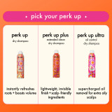 Amika Perk Up Plus Extended Clean Dry Shampoo 358ml