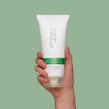 Philip Kingsley Scalp Hero Bundle