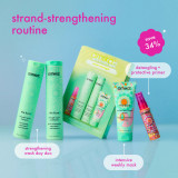 Amika Inner Strength Repair Routine Holiday Set