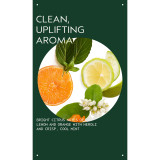 Aveda Scalp Serenity Scalp Solutions Balancing Essentials Gift pack