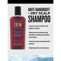 American Crew Anti-Dandruff Dry Scalp Shampoo 250ml