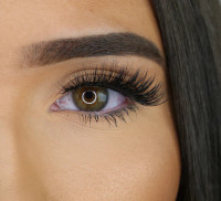 Lavish Lash Lounge Allure Lashes