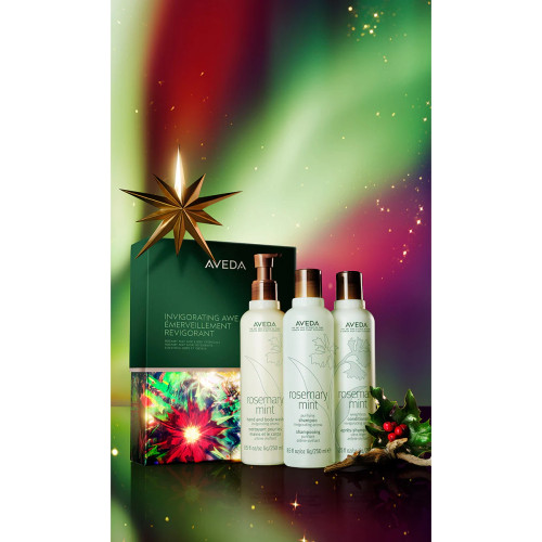 Aveda Invigorating Awe Rosemary Mint Hair & Body Essentials Gift Pack