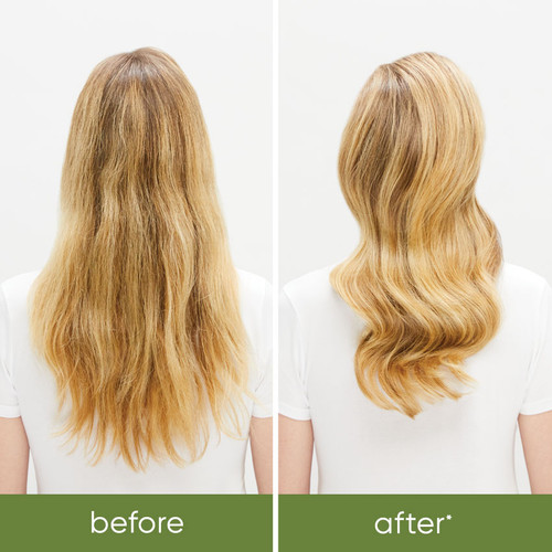 Biolage Strength Recovery Conditioner 1L