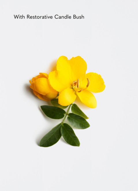 La Biosthetique 101 Methode Regenerante - Promote Hair Growth Hairloss Control Shampoo RT 250ml