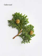 La Biosthetique 106 Methode Clarifiante Refreshing Aroma Complex RT 30ml