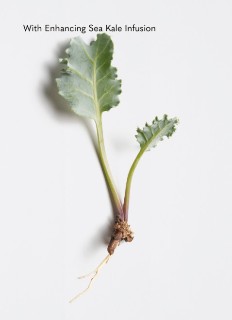 La Biosthetique MMC Structure Restoring Treatment RT (Spray 50ml + Mask 100ml)