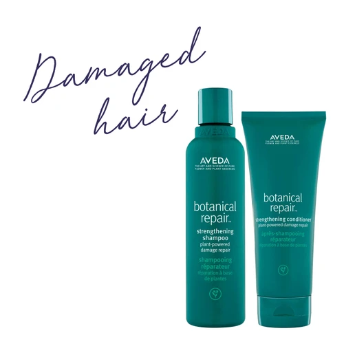 Aveda Botanical Repair Light Bundle