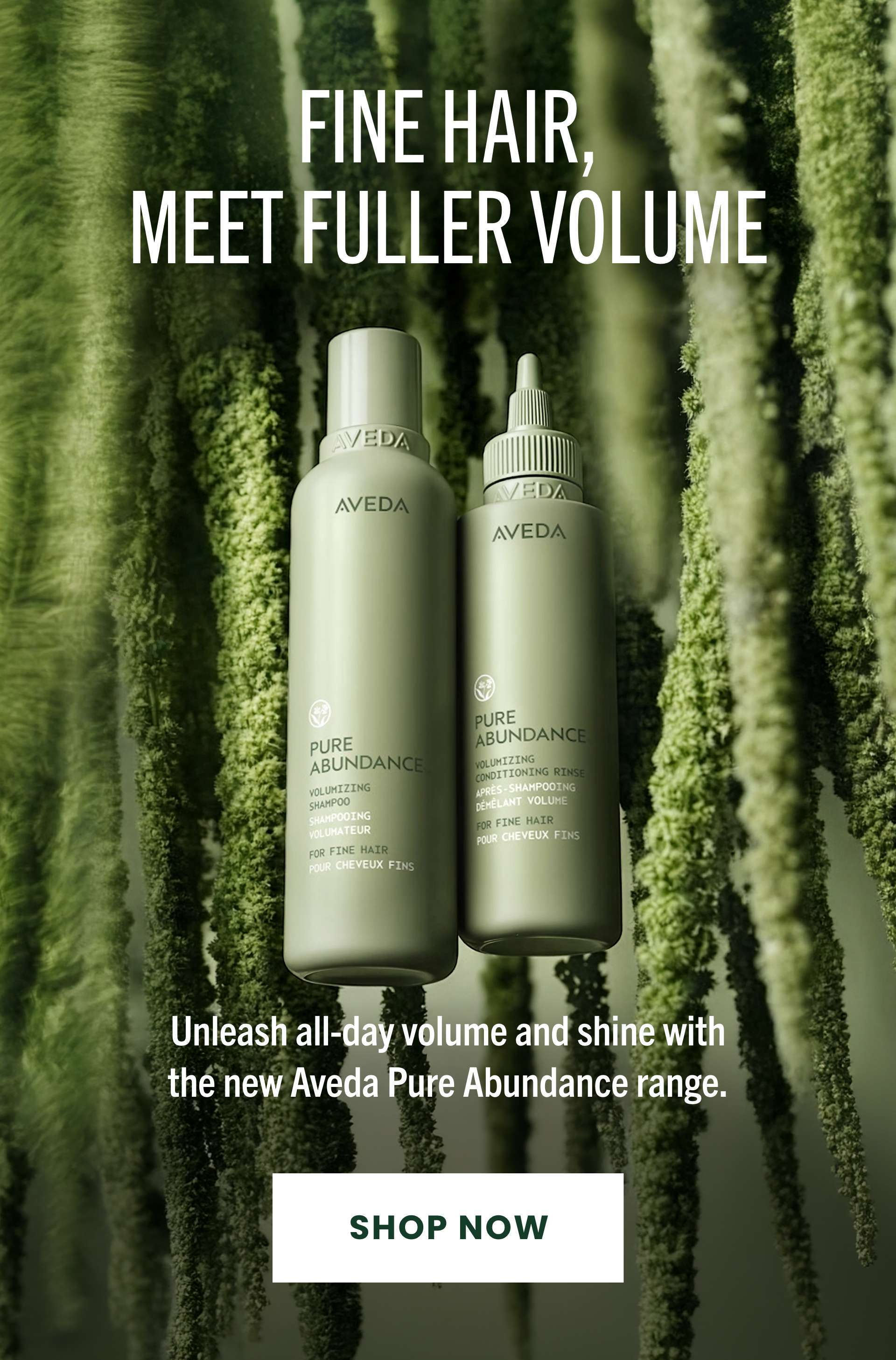 New Aveda Pure Abundance Range