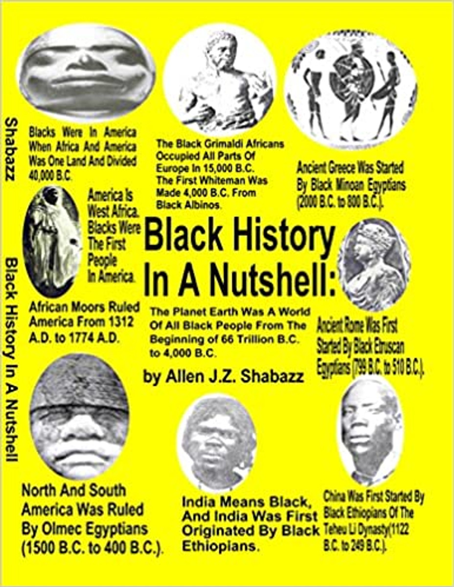 Black History In A Nutshell by Allen J. Z. Shabazz