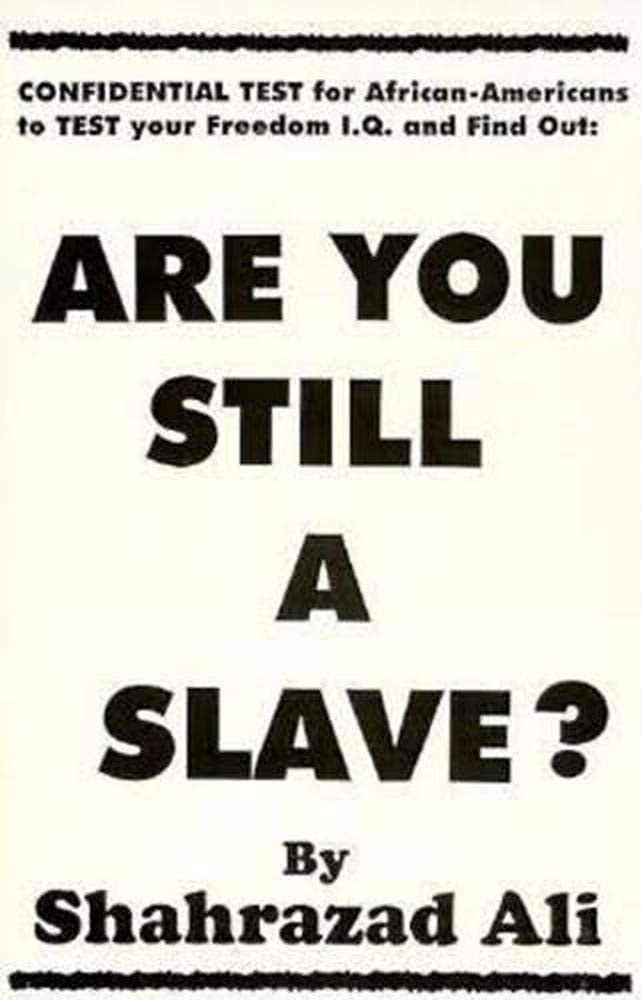 Are You Still A Slave? / SB