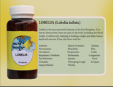 Dr. Goss New Body Herbs "Lobelia"