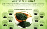 Nature's Way Spirulina Capsules