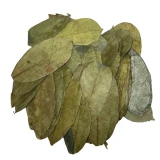 Herb To Body - Soursop Leaves