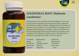 Dr. Goss New Body Herbs "Goldenseal Root"