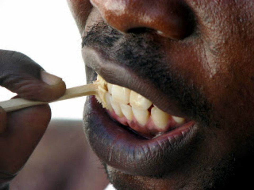 Licorice Chew Sticks All Natural Shades of Afrika Online