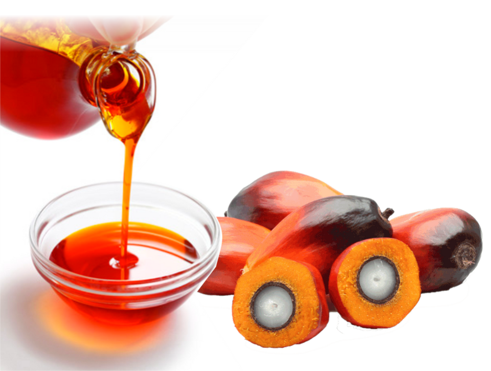 The Benefits of Red Palm Oil Shades of Afrika Online