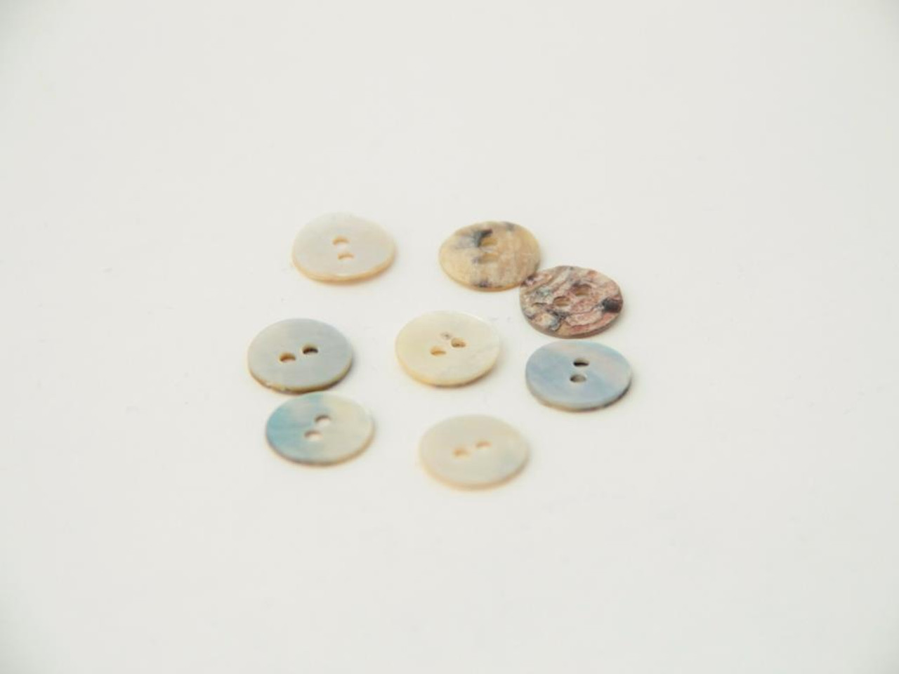 shell buttons