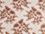 Dressmaking Fabric |  Eugenie Scallop Edge Metallic Lace - Bronze | Fabric Godmother