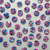 Pigeon Wishes | Lucid Buttons - 20mm | Fabric Godmother Pigeon Wishes | Lucid Buttons - 20mm | Fabric Godmother