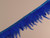Haberdashery | Feather Trim - Cobalt | Fabric Godmother 