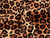Savannah Leopard Cotton Poplin - Natural