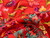 Dressmaking Fabric  | Leya Floral Viscose Sateen - Red | Fabric Godmother  Dressmaking Fabric  | Leya Floral Viscose Sateen - Red | Fabric Godmother