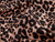 Dressmaking Fabric | Ace Animal Print Denim - Brown | Fabric Godmother  Dressmaking Fabric | Ace Animal Print Denim - Brown | Fabric Godmother