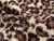Dressmaking Fabric | Leopard Teddy Fleece - Natural | Fabric Godmother 