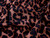 Dressmaking Fabric | Ace Animal Print Viscose Crepe - Light Brown(OLD) | Fabric Godmother Dressmaking Fabric | Ace Animal Print Viscose Crepe - Light Brown(OLD) | Fabric Godmother