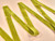 Haberdashery | Double Sided Velvet Ribbon - 22mm - Chartreuse | Fabric Godmother