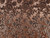 Dressmaking Fabric | Viviana Floral Silk Lame Jacquard - Bronze & Black | Fabric Godmother  Dressmaking Fabric | Viviana Floral Silk Lame Jacquard - Bronze & Black | Fabric Godmother